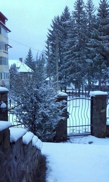 بْريدال Pension Casa Dunarea المظهر الخارجي الصورة